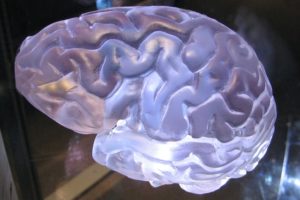 Welcoming You to My Site and New Findings - Picture of a blue brain.